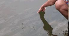 how you catch a fish by a hand