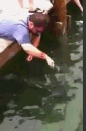 fish catch a man